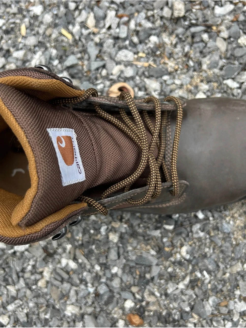 Carhartt Men's CMF6284 6